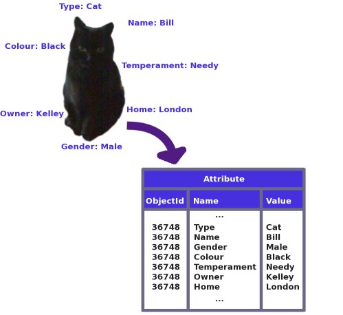 Figure 1: The attributes of a cat stored in a table as name-value pairs