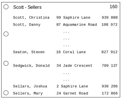 Figure 1: Page 160 of the Sturnusville telephone directory