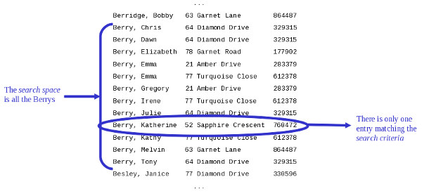 Figure 2: Searching for Berry at 22 Sapphire Crescent